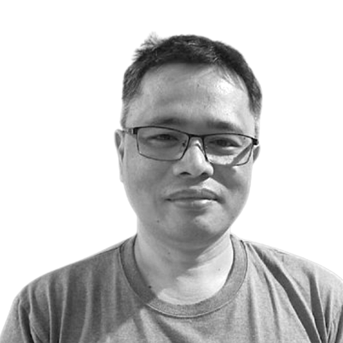 Elmer Figuracion